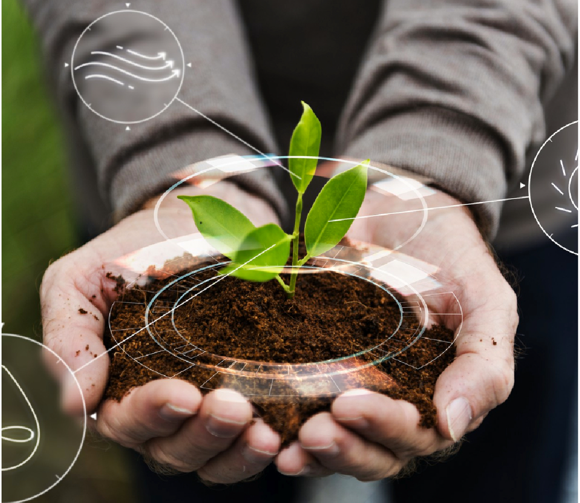 CSR Sustainability