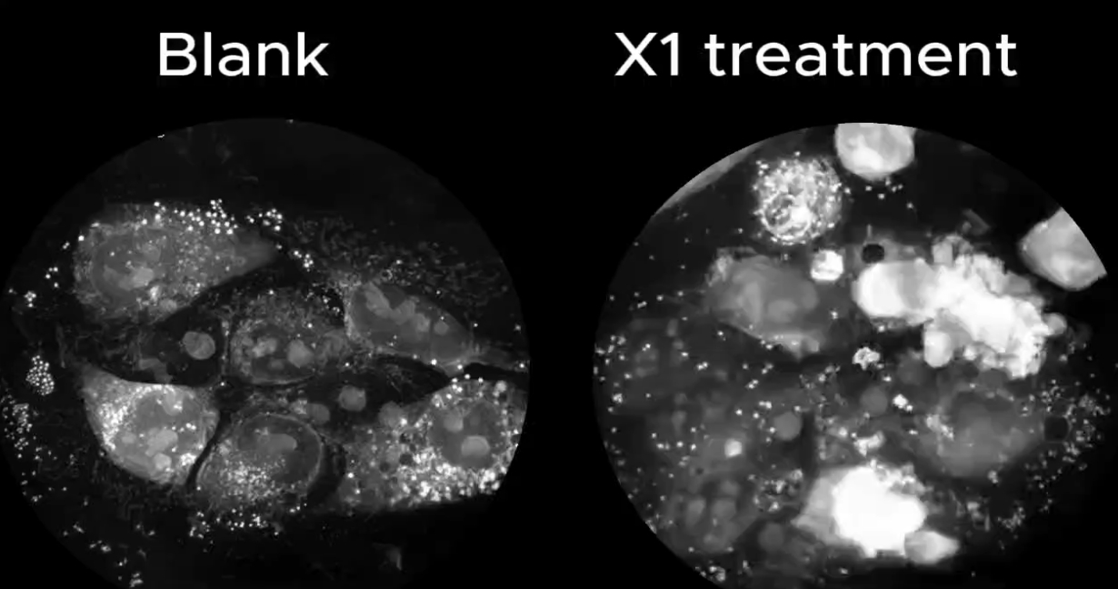 Blank vs X1 treatment